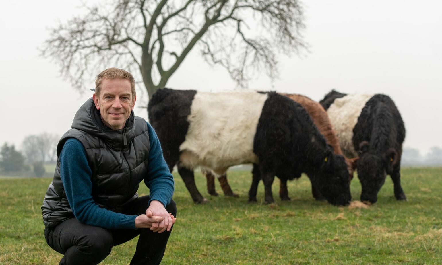 the nook john founder with cows 