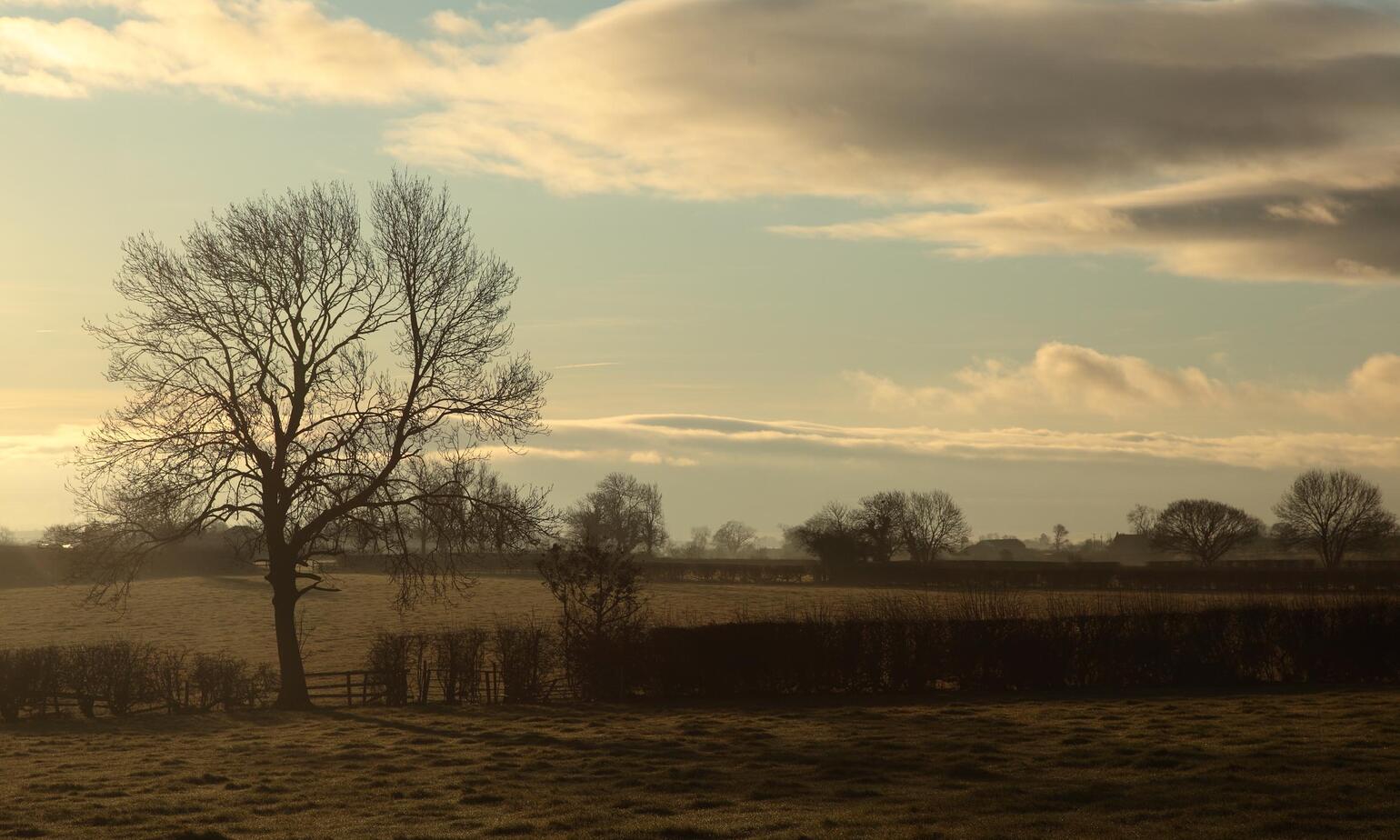 farmland 