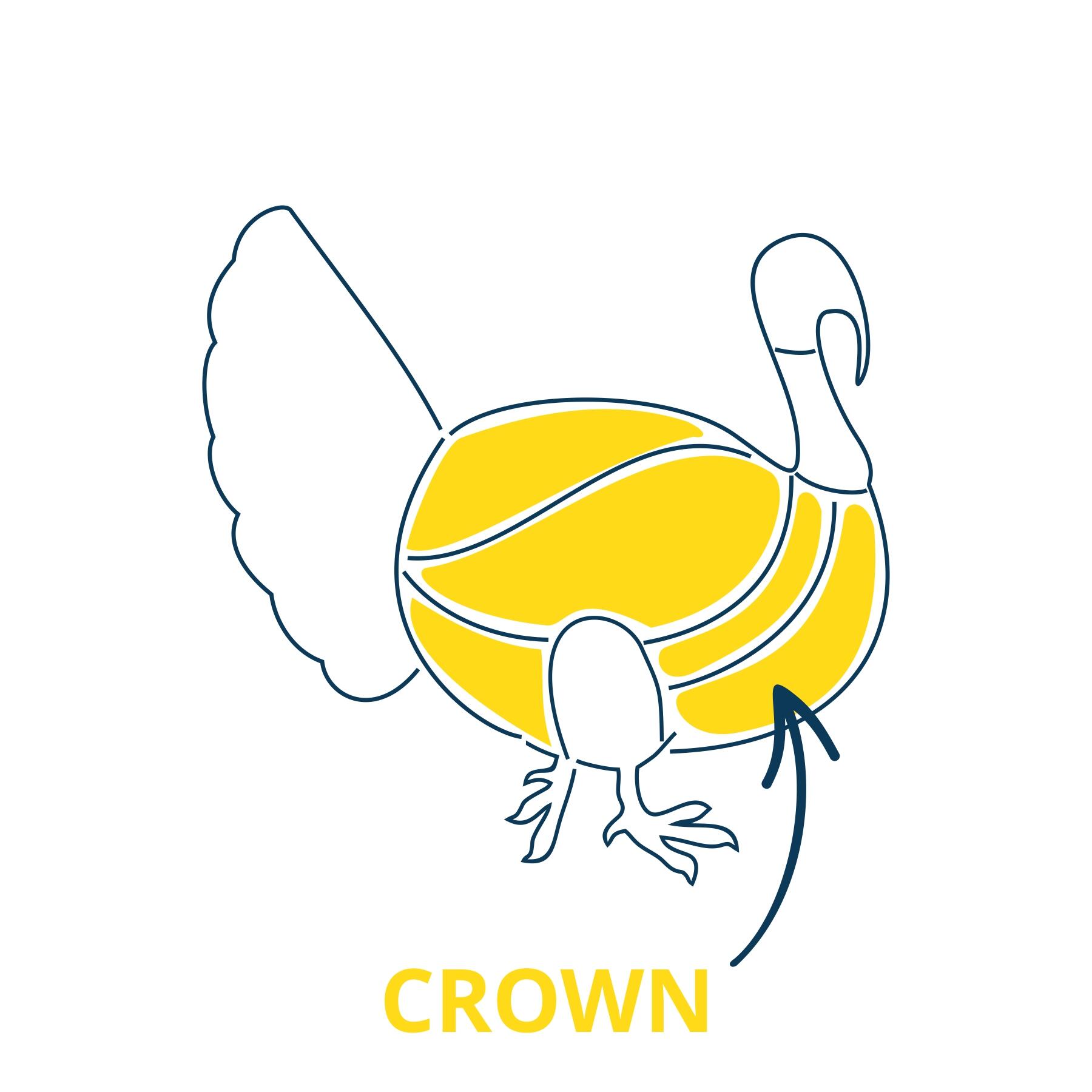 Buy FreeRange Devon Bronze Christmas Turkey Crown Farmison & Co