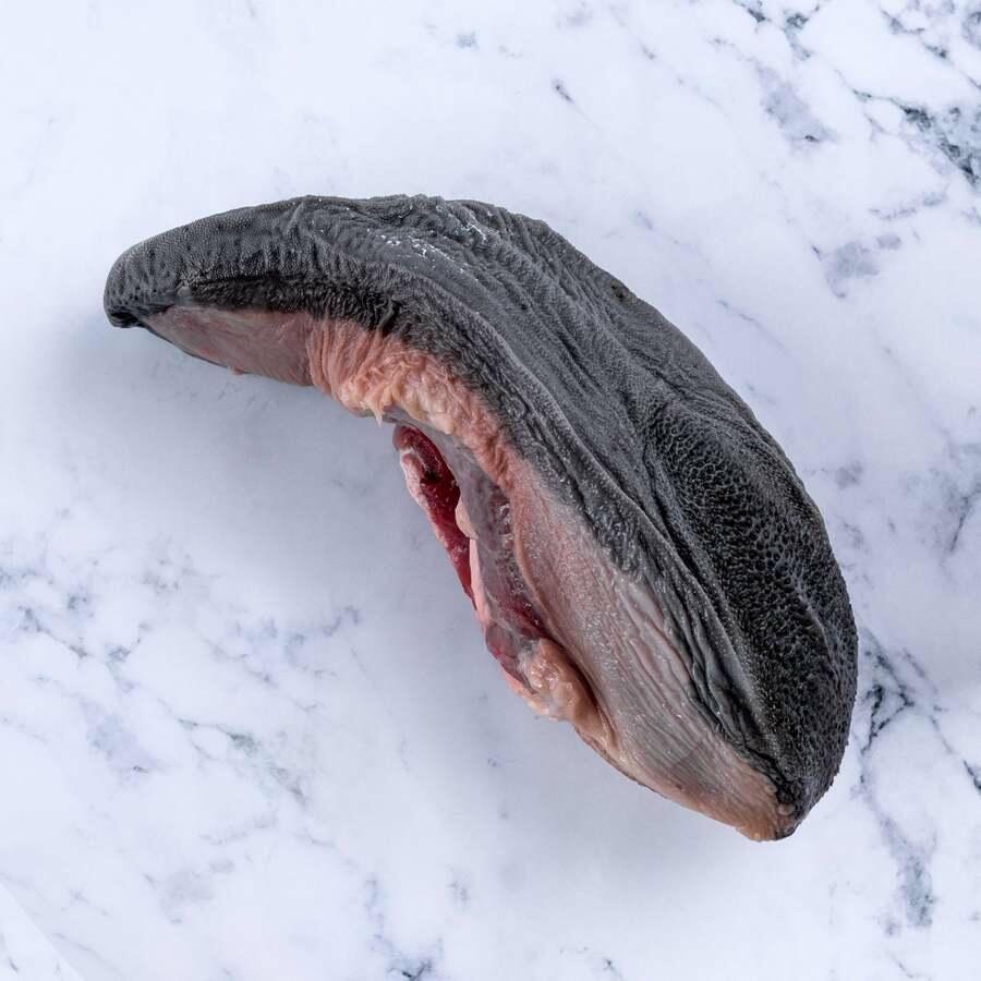 tongue of ox 