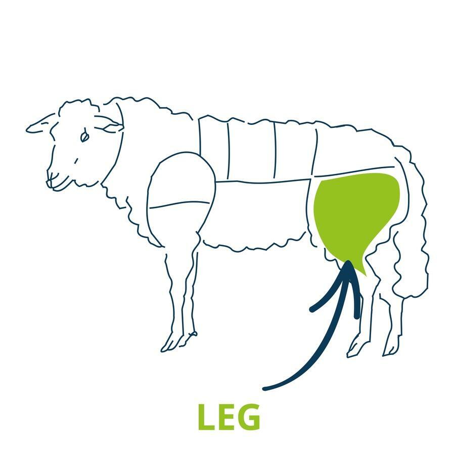 lamb leg cut chart